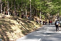 Kucelj